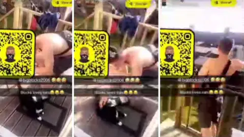 RSPCA A composite image showing three screenshots from the Snapchat video. Palmer can be seen wearing black shorts and no shirt, standing an a wooden balcony outdoors on a sunny day. He leans down to stroke the cat in the first two pictures, and in the third he is standing up and watching the cat spin through the air. The cat is not visible in the third image.