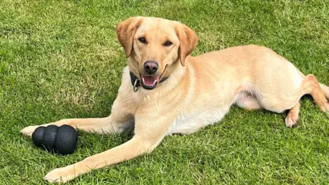 Derbyshire Police TPD Hazy