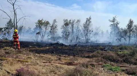 A firefighter is pictured with his back to the camera, spraying water from a hose in the direction of some trees. No fire can be seen but there is smoke rising around where the trees are.
