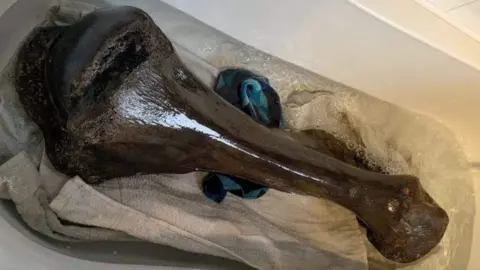 Joe Ferguson Giant bone fossil in a bath