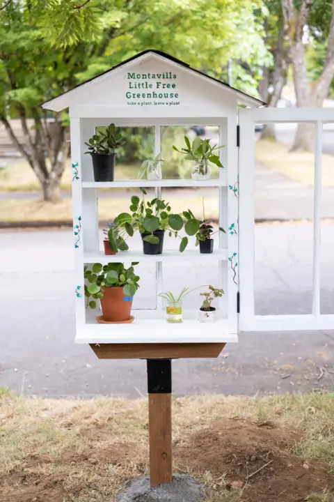 Rachael Harms Mahlandt A "free greenhouse" built in the shape of a hut, with various plants for people to take away