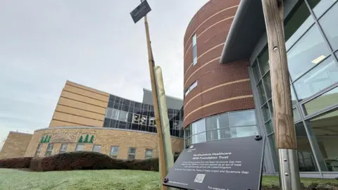 Jim Scott/BBC The sapling in the ground. There is a black plaque to the right of it marking the tree. There is also a smaller plaque on the thin trunk of the tree.