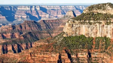 Panoramic view of Grand Canyon North Rim from Bright Angel Point, Arizona, USA