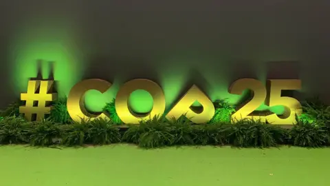 IISD/ENB KIARA WORTH COp25