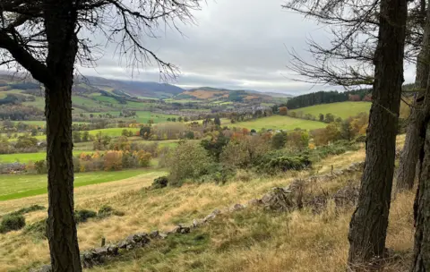 A picturesque view of the Tweed Valley with autumnal trees in the foreground and Peebles in the distance