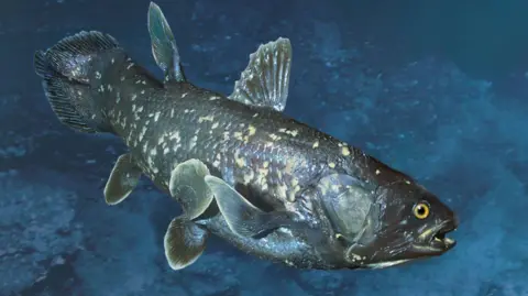 A stuffed fish, which looks lifelike, against a marine background.