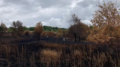 The foreground of the image shows blackened ground and scorched trees. With five people in the distance picking litter from the charred site