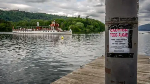 Getty Images A boat sails on Lake Windermere while in the foreground a sign warns bathers of toxic algae in the water