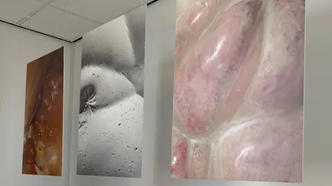 Three boards featuring close-up images of the materials used, hanging from the ceiling.
