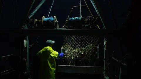 Matthew J Harrison A fisherman wearing bright yellow wet-weather gear and a baseball cap examines the oysters he caught in his net. There are two blue cranes on top of the net.