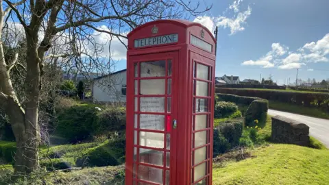 A red phone box. It has panelled glass walls, a crown emblem at the top with 'telephone' printed below it. Grass verges with daffodils are in the background and a tree is to the left.