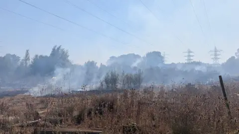Northamptonshire Fire and Rescue Smoke rising from a field with burned and blackened plants in front and trees spotted through the smoke haze behind. 