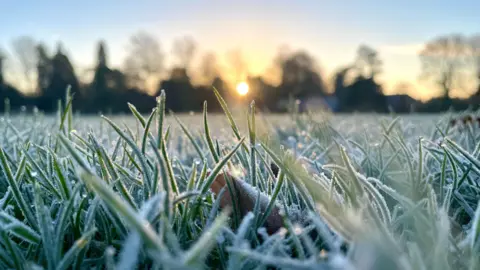 WeatherWatchers/CraigRich A close up image of a heavily frosted field with blades of grass sticking up. The background is blurred with the rising sun and the tree line visible.