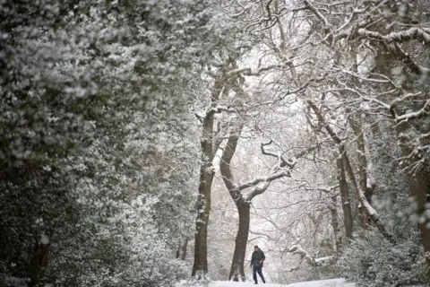 PA Media Snow falls as people walk in Sutton Park in Birmingham, on 9 February 2021