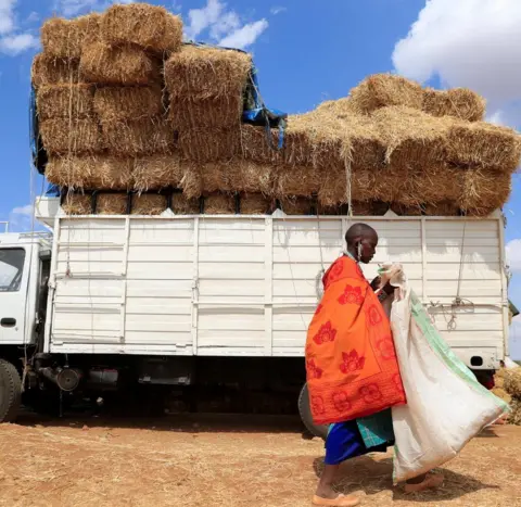Reuters Naserian Naiyoma, a woman from the Maasai pastoralist community waits to buy dried-hay for their emaciated cows affected by the worsening drought due to the failed rainy season, at a temporary animal feeds market in Ilbisil settlement of Kajiado, Kenya October 17, 2022. REUTERS/Thomas Mukoya