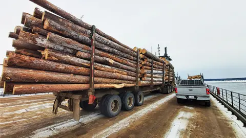 Conservation North/Bulkley Valley Stewardship Co Lorry carrying logs on Canadian road