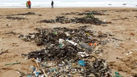 Beach Guardian Waste washed up on Cornish beach