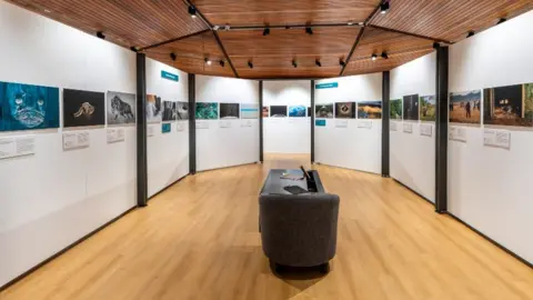 Chris George Part of the exhibition