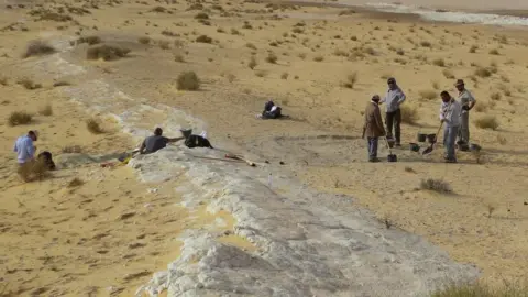 Michael Petraglia Yellow sand with a white vein running through it. A group of scientists sit and stand in middle distance.
