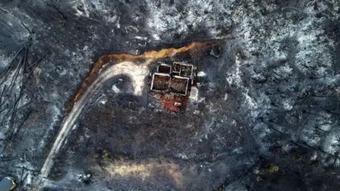 DIMITRIS ALEXOUDIS/EPA-EFE/REX/Shutterstock An aerial picture taken with a drone shows the burnt area after a wildfire, in Avantas village, Alexandroupolis, Thrace