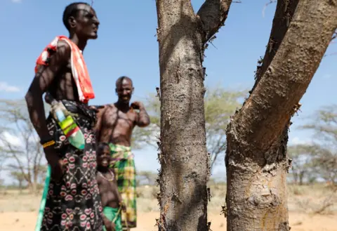 Reuters Newly-hatched desert locusts are seen on a tree with people looking on