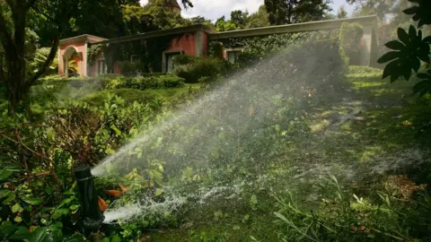 Getty Images Sprinkler watering lawn