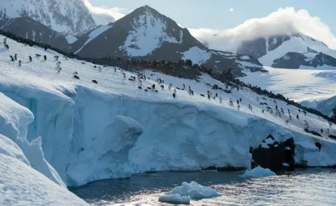 Christian Åslund Antarctic