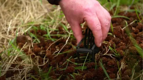 A County Armagh couple have shared their unique methods of welcoming wildlife into their garden.