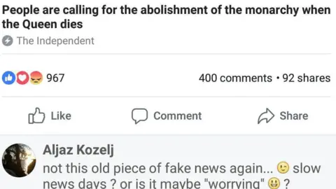 Facebook Screen grab of Independent story and comment
