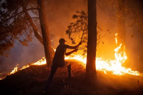 Getty Images A man beating a wildfire with a branch in the Chefchaouen region of northern Morocco (August 2021)