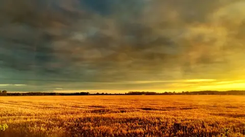 Tim Turan Late evening sun turning the wheat gold in Eynsham