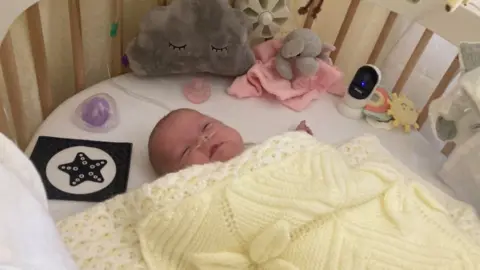 Crane family Harley Crane