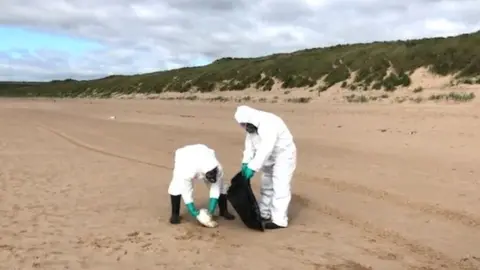 Dead bird collection in Aberdeenshire