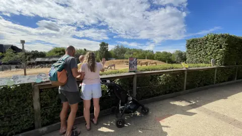 Mike Liggins/BBC A family looks at the rhinos at Colchester Zoo