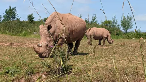 South Lakes Safari Zoo