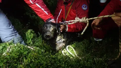 South and Mid Wales Cave Rescue Team The dog after being rescued