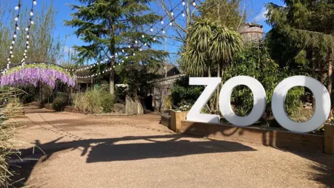 Katy Lewis/BBC Paradise Wildlife Park