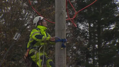 Power lines work