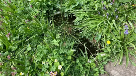 A nature pond made from an old sink