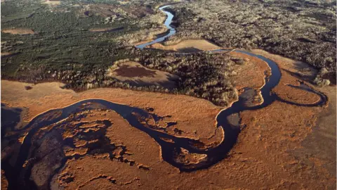 Nathan Benn/Getty Images Aerial of the headwaters of Mississippi River, about 8 miles from its source at Itasca lake, winds through marshes, very shallow, winding through marshlands and past farms between its source at Lake Itasca and Lake Bemidji, Minnesota
