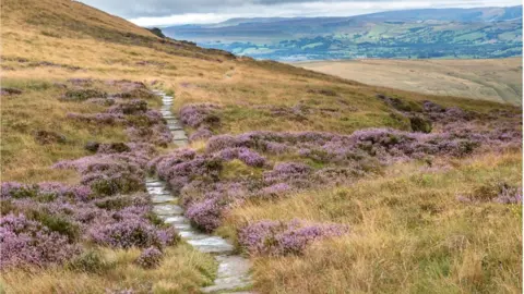 National Trust Images - Paul Harris Kinder Scout