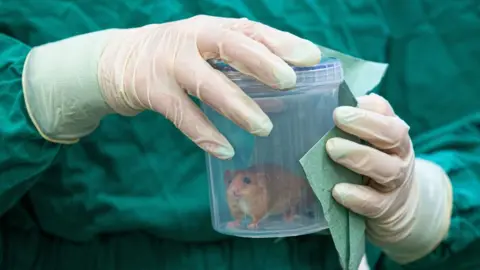 ZSL A dormouse in a container