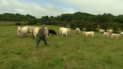 Mr Chestnutt has had several near misses with cattle over the years