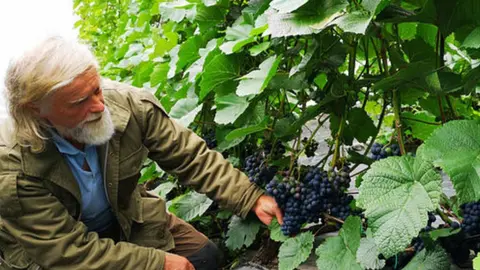 Slinde Vineyard, norsk vinmaker, Bjørn Bergum