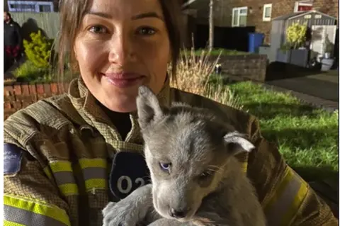 Hampshire & Isle of Wight Fire & Rescue Service Rushmoor firefighter Lauren Forster helped save the puppies