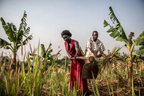 Aurelie Marrier d’Unienville/Sights Julius and his wife work the fields on their farm.