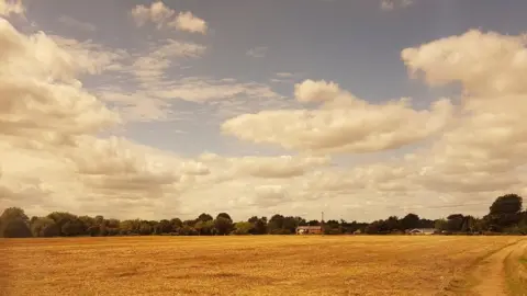 Toby West Harvested fields in Stadhampton