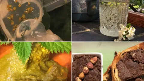 Kirsty Pollard Foraging