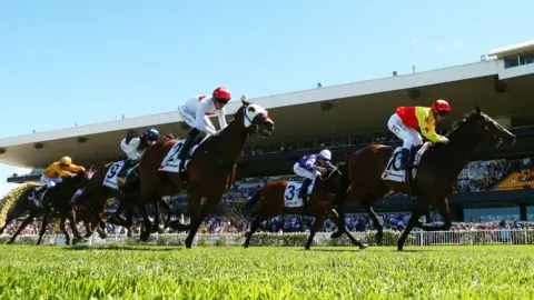 Matt King Horse race