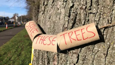 Emma Baugh/BBC A DIY banner around a tree made of toilet rolls saying save the trees